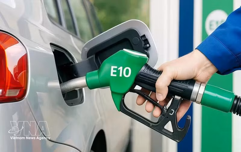 附图。（图片来源：越通社）