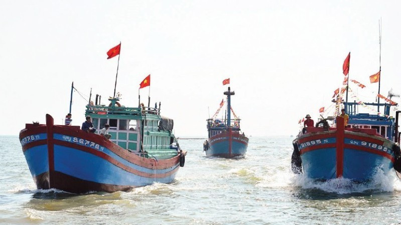 广义省渔民的渔船队。（陈梅 摄）