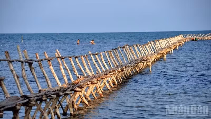 越南旅游的吸引力源自迷人的自然风光。