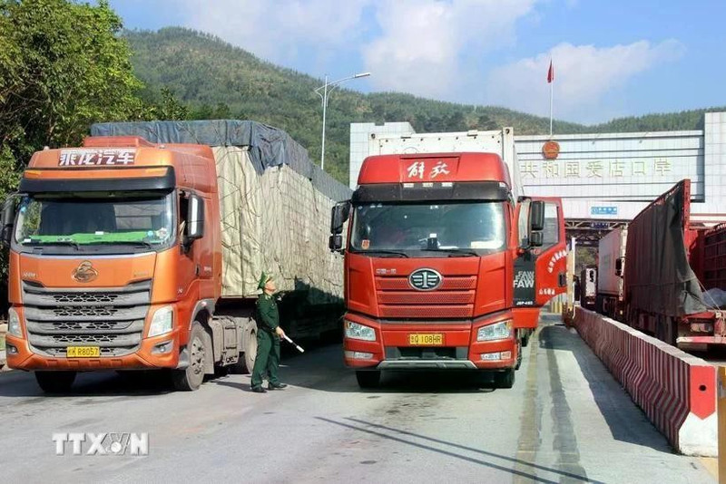 加快农产品出口通关手续办理速度。（图片来源：越通社）