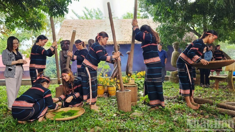 波来古市邑村已成为与嘉莱族文化保护相结合的社区旅游示范村。