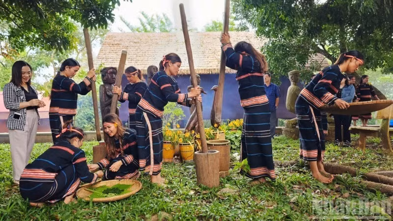 波来古市邑村已成为与嘉莱族文化保护相结合的社区旅游示范村。