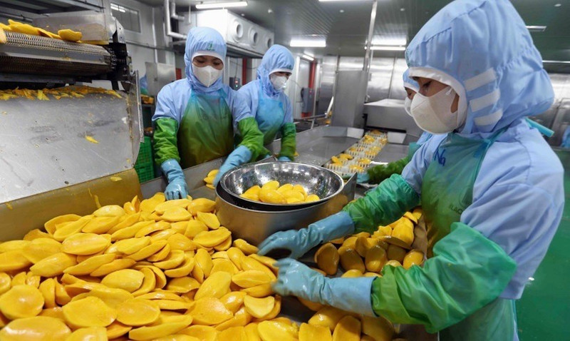 广西从越南农产品进口额达120.9亿元人民币。（图片来源：越通社）