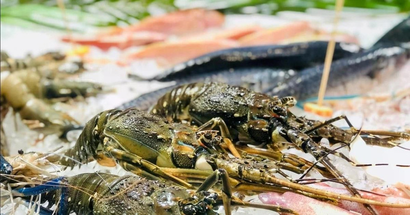 虾类作为越南水产品出口的主力产品。（图片来源：越通社）