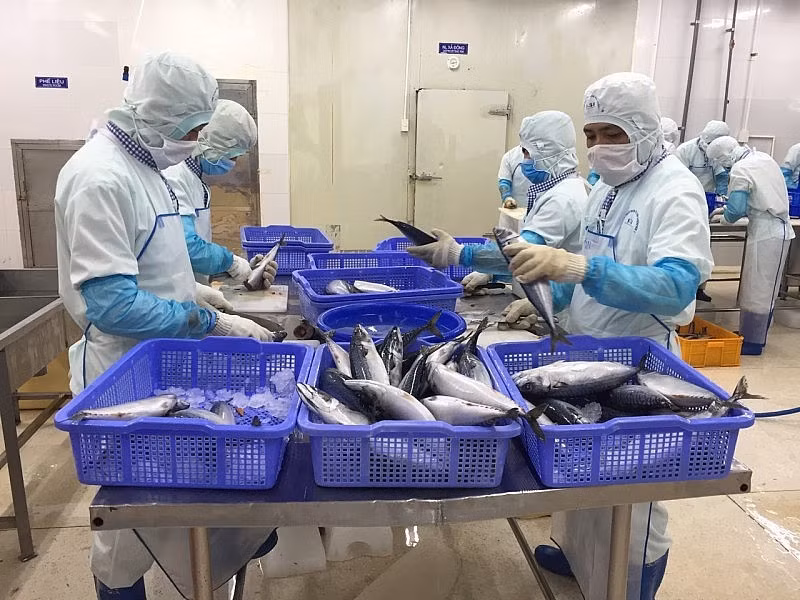 水产品是越南对以色列出口的主要优势商品之一。