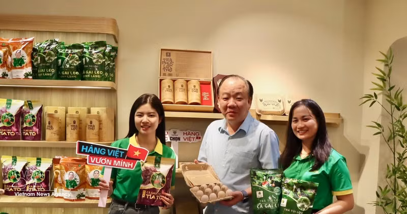 在促销会上展出的海南茄茶、海南茄鸡蛋产品。（图片来源：越通社）