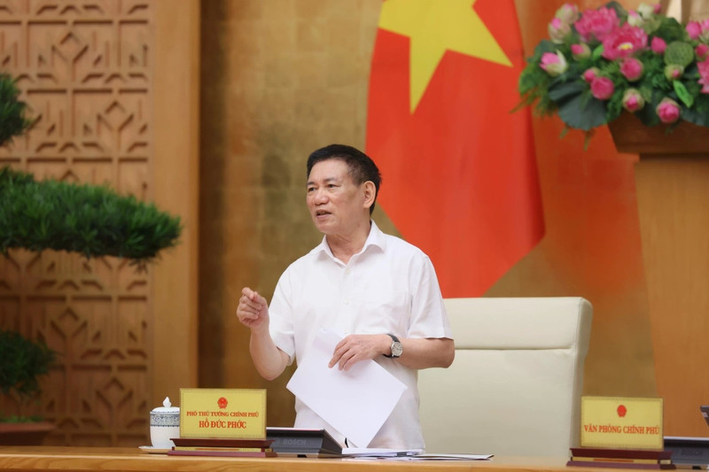 越南政府副总理胡德福在会上致辞。（图片来源：VGP）