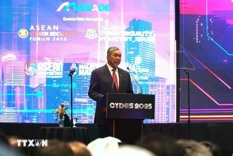 马来西亚副总理扎希德·哈米迪发表讲话。（图片来源：越通社）