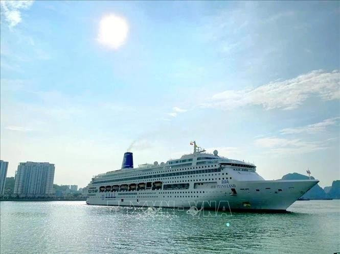 载有约1000名中国游客的“钢琴号”邮轮抵达广宁省下龙市。（图片来源：越通社）