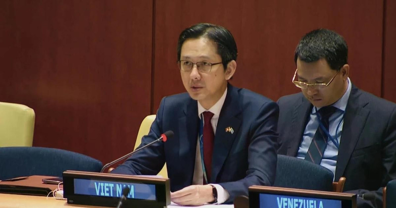 越南常驻联合国代表团团长杜雄越大使发表讲话。（图片来源：越通社）