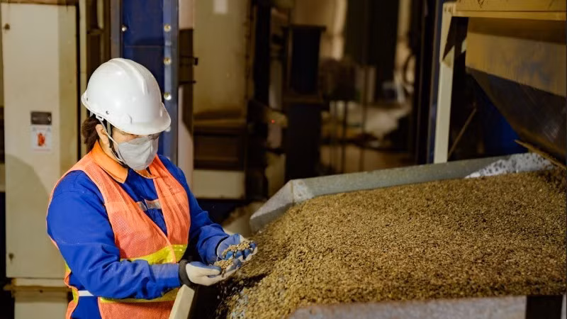 越南是日本市场第二大咖啡供应国。