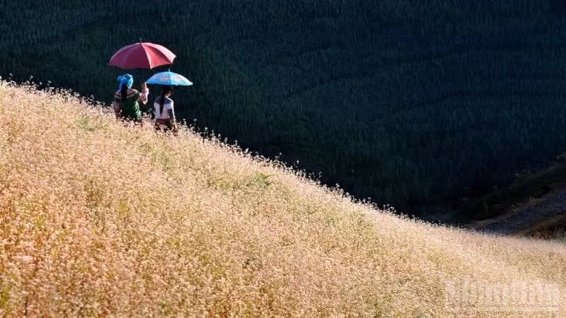 越南旅游第一季度强劲增长。