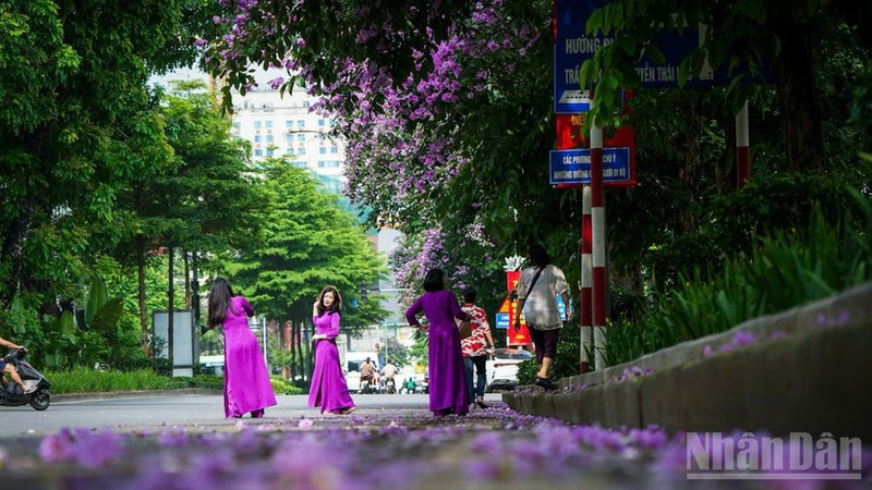 河内市一角。（成达 摄）