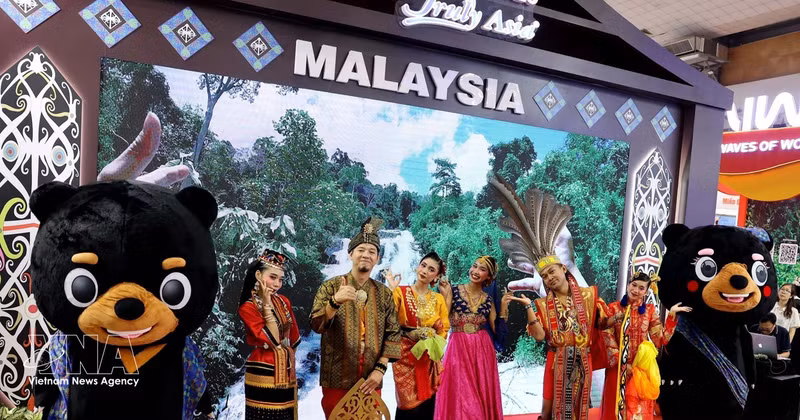 今年的展会有来自国内31个省市以及20个国家和地区的近400个展位、超过600家组织和企业参展。