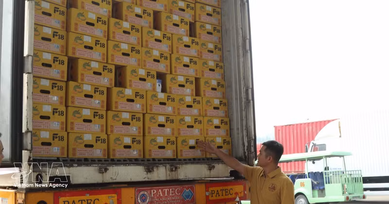 越南首批新鲜榴莲通过'绿色通道'经由友宜国际口岸出口至中国。