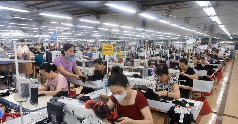 越南出台系列扶持政策 充分释放私营企业科技创新活力