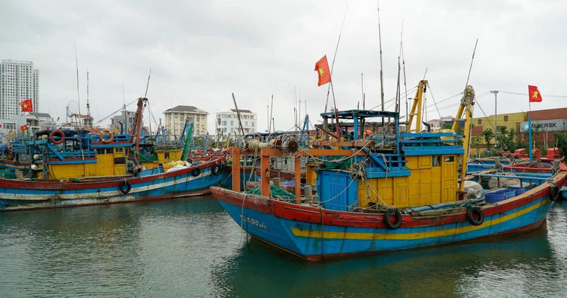 嘉莱省强化渔船管理 迈向可持续渔业发展。