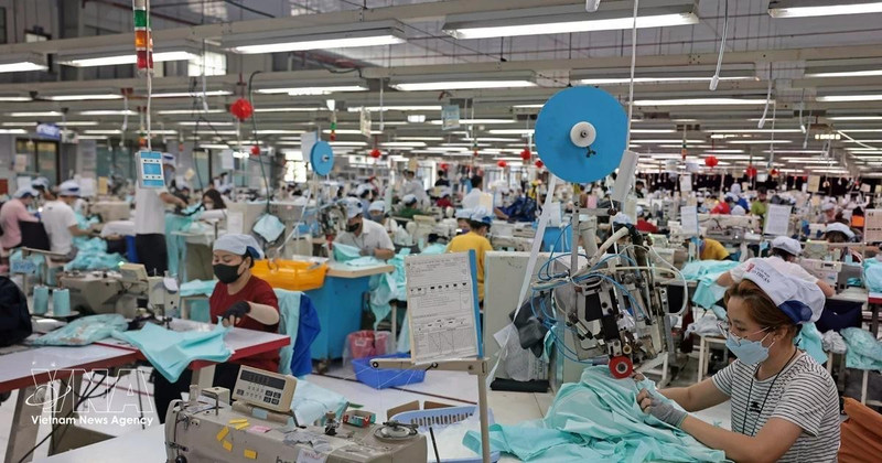 2025年，越俄双边贸易额达47.7亿美元。（图片来源：越通社）