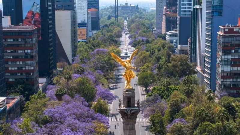 墨西哥首都改革大道。（图片来源：新华社）