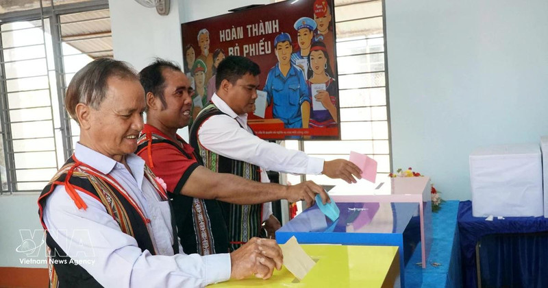 越南全国近7900万选民行使选举权利和义务。（图片来源：越通社）