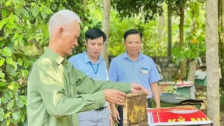 老年人发展家庭经济。