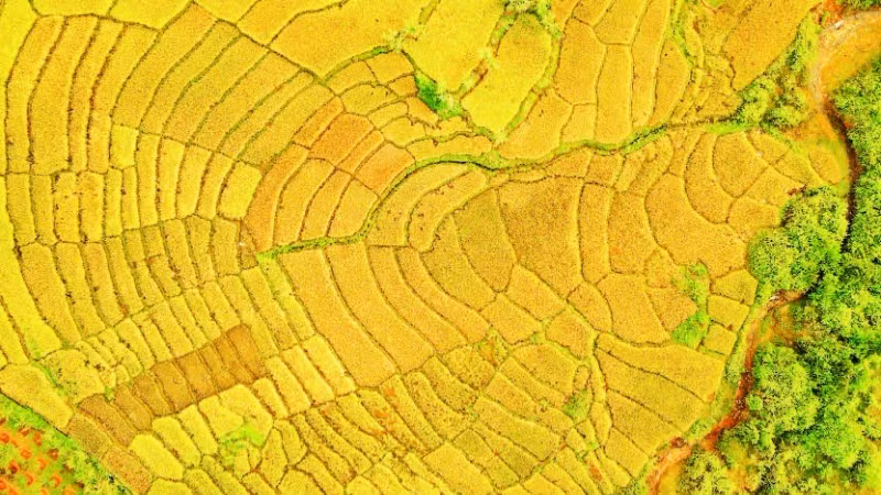 广义省西部山区拥有丰富的自然景观资源，适宜发展体验式旅游。