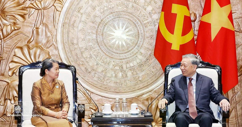 越共中央总书记苏林会见柬埔寨人民党副主席、柬埔寨祖国发展团结阵线国家委员会主席梅森安。（图片来源：越通社）
