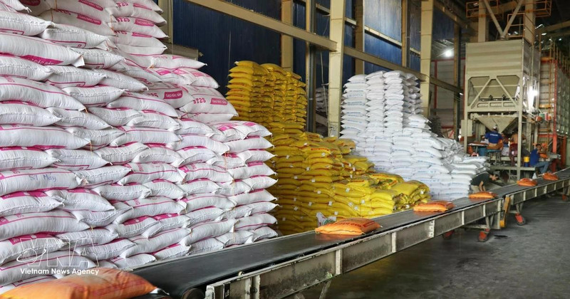 前江省大米出口企业的稻米储备充足。