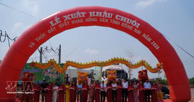 同奈省领导出席出口新鲜香蕉发车仪式。(图片来源： 越通社)