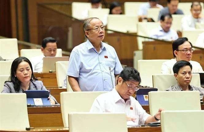 太平省代表阮文伸发表讲话。（图片来源：越通社）