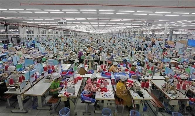 2024年越法双边贸易额超54亿美元，同比增长12.9%。（图片来源：越通社）