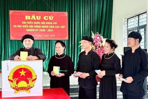 北江省安乐乡那奥村（Nà Ó）岱族同胞兴高采烈地参加投票。图片来源：越通社