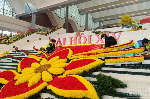 国际学者对越共十四大充满信心与期待【视频】