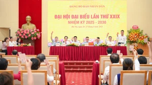 与会代表进行表决。