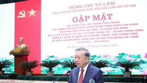 越共中央总书记苏林发表讲话。（图片来源：越通社）