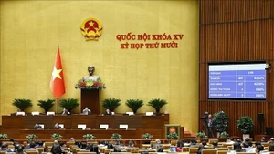 越南第十五届国会第十次会议12月5日下午表决通过《司法履历法若干条款修改补充法》。（图片来源：越通社）