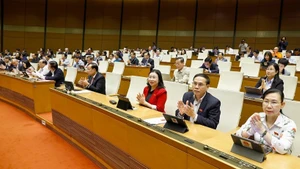 越南国会代表表决通过多项重要法律。（图片来源：越通社）