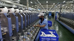 附图。（图片来源：越通社）