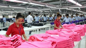 附图。（图片来源：vneconomy.vn）