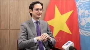 越南常驻联合国代表团团长杜雄越大使。（图片来源：越通社）