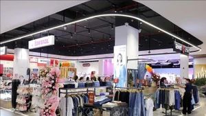 附图。（图片来源：越通社）