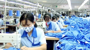 附图。（图片来源：政府网）