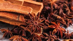 附图。（图片来源：互联网）