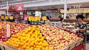 附图。（图片来源：越通社）