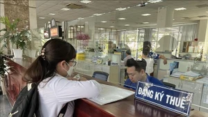 附图。（图片来源：越通社）