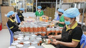 越南力争2026年农林水产品出口额达730亿-740亿美元。（图片来源：越通社）