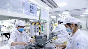 附图。（图片来源：互联网）