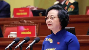 越共中央委员、政府党委常务委员会委员、政府副总理范氏清茶在会上发表讲话。