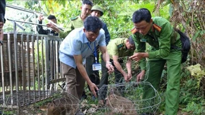 塔董国家公园管理委员会同职能部门配合将4只野生动物放归自然环境。（图片来源：越通社）