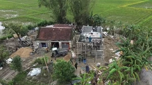 军队、公安力量以及各级党委、地方政府不分昼夜，为灾区群众组织实施住房建设和修缮工作。（图片来源：越通社）